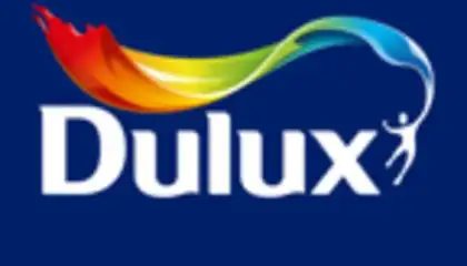 Dulux Visualizer IN