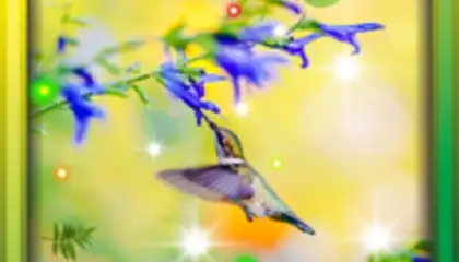 Colibri Spring 3D LWP