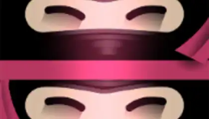 The Last Ninja Twins