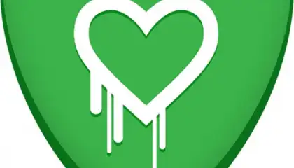 Heartbleed Security Scanner