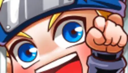 Ninja Heroes