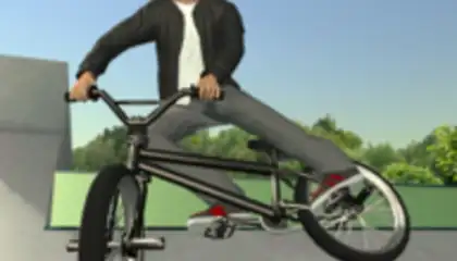 BMX FE3D 2