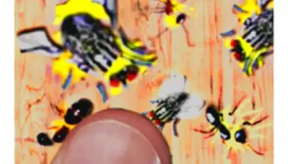 Ant Smash Game