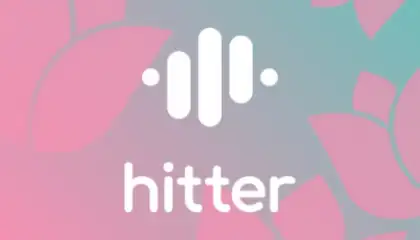 hitter