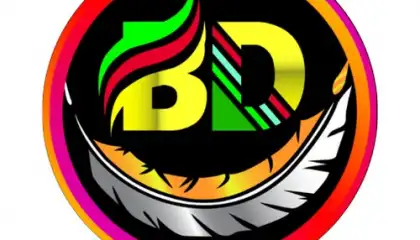 BD NET VPN