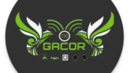 Gacor Fake v2.4