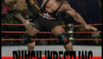 Punch Wrestling
